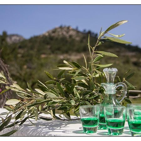 Liodentro House Villa Karpathos Ngoại thất bức ảnh